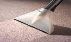 Carpet Cleaners.jpg